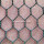 25mmx1mx45m Heksagonal Wire Mesh För Fjäderfä Coop